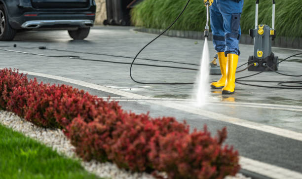 Best Gutter Cleaning  in Sage, CA